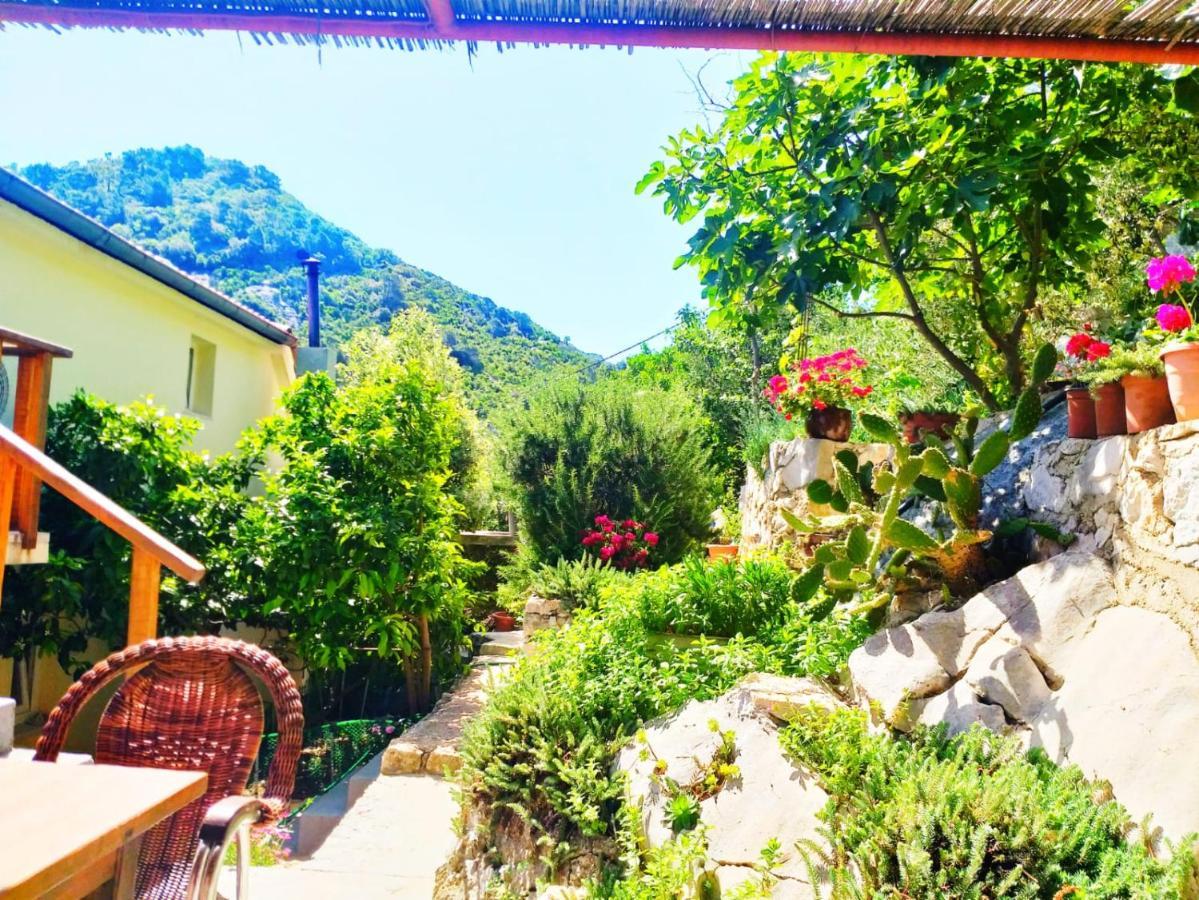 Villa Anita Sobra Dış mekan fotoğraf