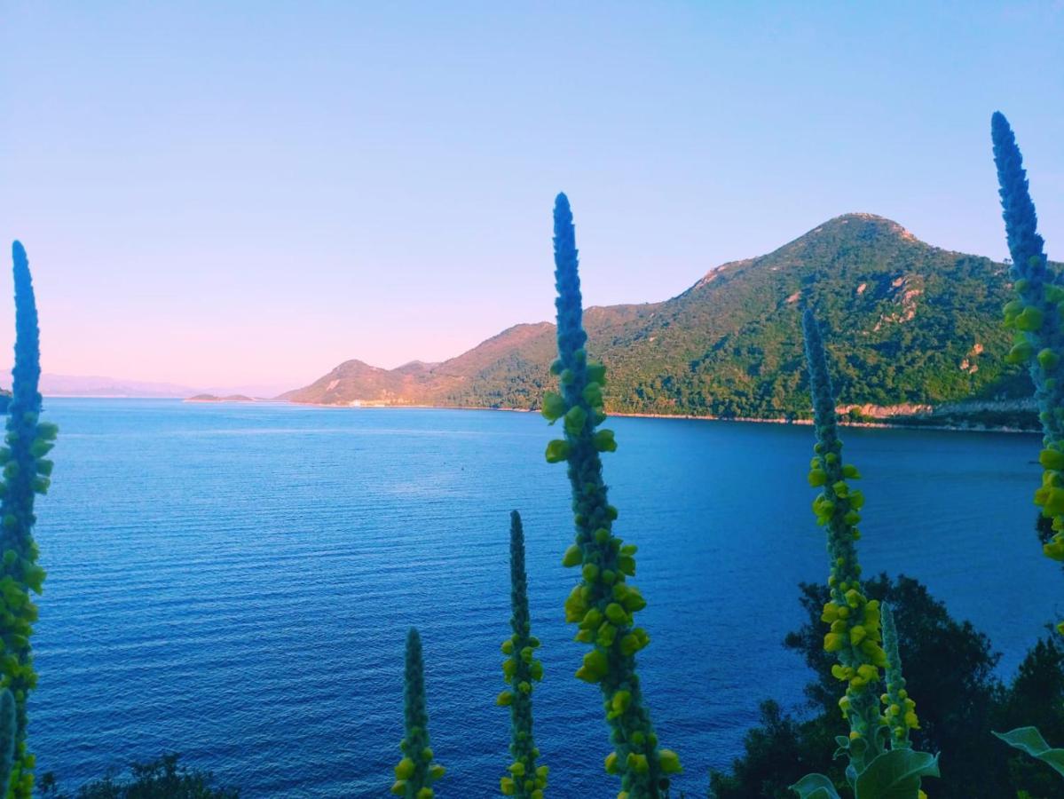 Villa Anita Sobra Dış mekan fotoğraf
